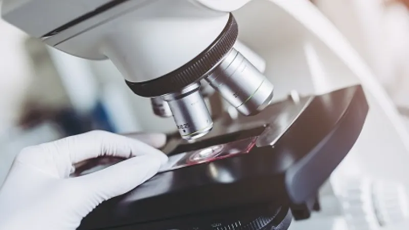 lab